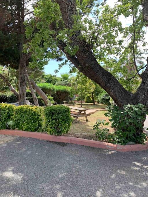 Appartement Cosy Confort Parking Clim Wifi Linge Acces Piscine Non Inclus Canet-en-Roussillon Exterior foto