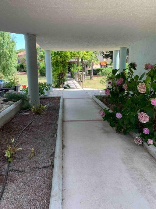Appartement Cosy Confort Parking Clim Wifi Linge Acces Piscine Non Inclus Canet-en-Roussillon Exterior foto